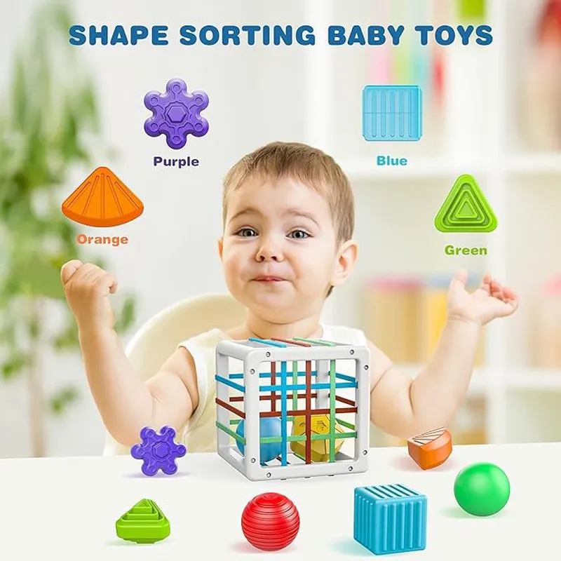 Shape Sorter Montessori Toys (1-3 Years)