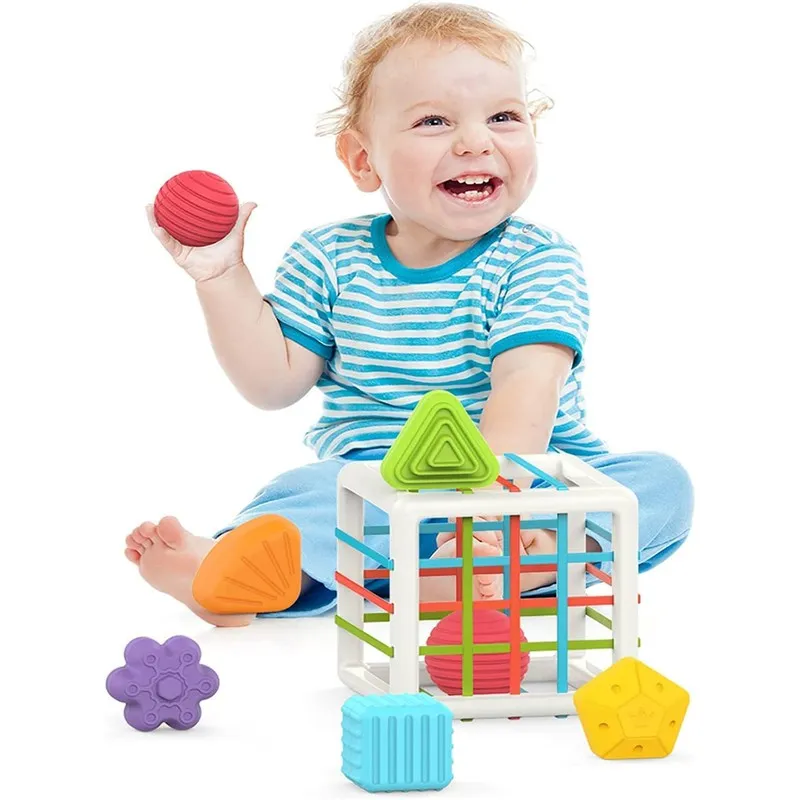 Shape Sorter Montessori Toys (1-3 Years)