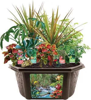 Toys by Nature Tropical Rainforest Biosphere Terrarium - Create Your Own Jungle! (Tropical Rainforest Jungle)