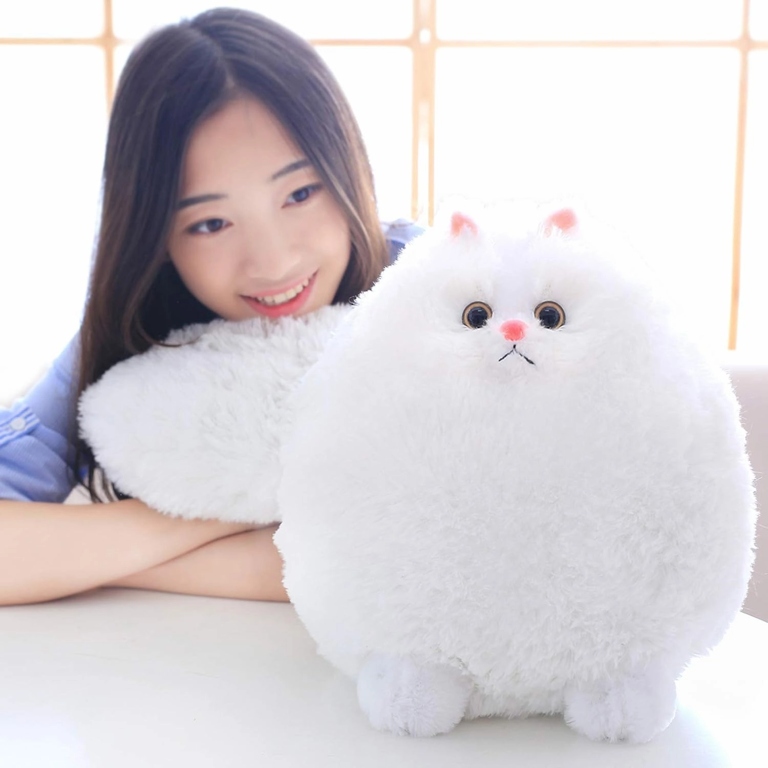 Winsterch Stuffed Animal Plushie Cat Stuffed Animal,Cute Soft Plush Cat Animals,White Stuffed Cat, Birthday for Kids,Boys,Girls,Fat Cat Stuffed Toy (White, 10 Inches)